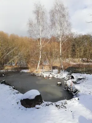 Naturlandschaft in der Nähe der Ferienwohnung
