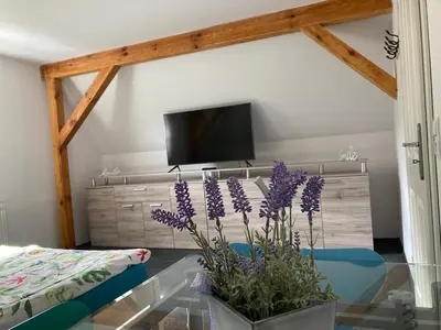 TV/Unterhaltungsangebot in der Unterkunft Ferienhaus Weise