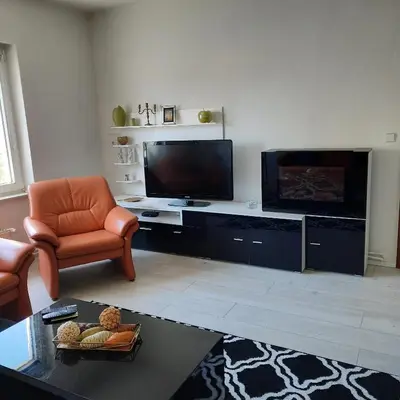 TV/Unterhaltungsangebot in der Unterkunft Ferienhaus Jagomast