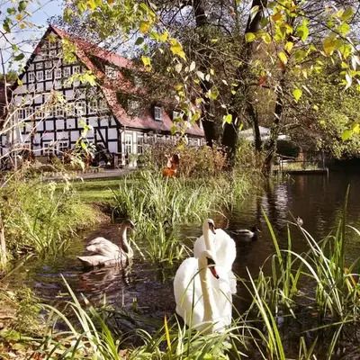 Springbach-Mühle Belzig