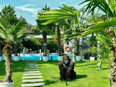 Ein Garten an der Unterkunft Villa Tropicana Berlin Potsdam