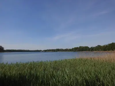 Naturlandschaft in der Nähe des Ferienhauses