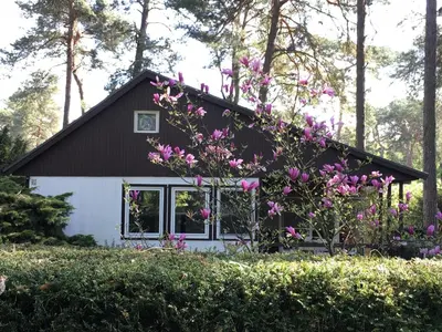 Ein Garten an der Unterkunft KOMPLETTES FERIENHAUS POTSDAM BERLIN GÄSTEHAUS IN SEENÄHE 95qm2 MONTEURZIMMER