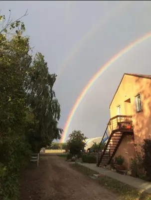 Grundriss der Unterkunft Ruhige Ferienwohnung auf Pferdehof