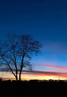 Blick auf den Sonnenuntergang/Sonnenaufgang von der Ferienwohnung aus oder aus der Nähe