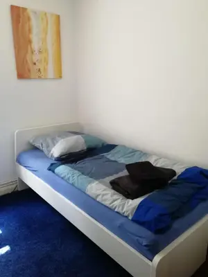 Ein Bett oder Betten in einem Zimmer der Unterkunft Kleine Galerie Apartment für 3 mit Küche Kamin Netflix Parken und Hofladen