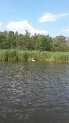 Blick auf einen Fluss in der Nähe der Ferienwohnung