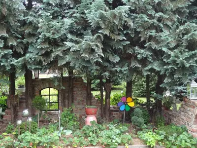 Ein Garten an der Unterkunft Alteschule15