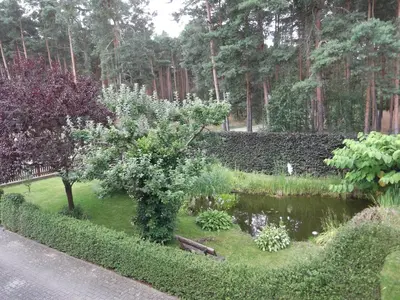 Ein Garten an der Unterkunft Amselgarten