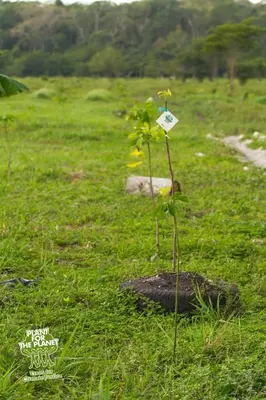 Naturlandschaft in der Nähe des Ferienhauses