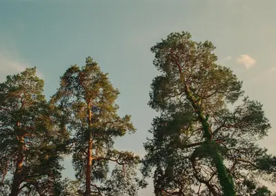 Naturlandschaft in der Nähe des Hotels