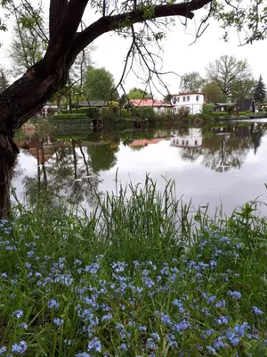 Naturlandschaft in der Nähe der Ferienwohnung