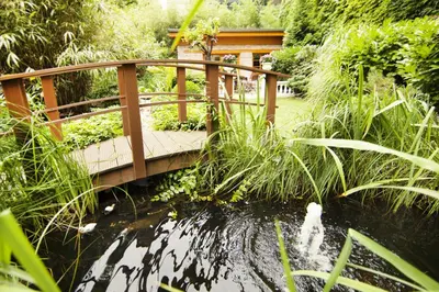Ein Garten an der Unterkunft THE GATE GARDEN Hotel