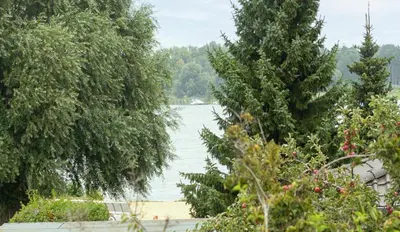 Naturlandschaft in der Nähe der Pension