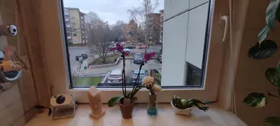 Die Umgebung um das Privatzimmer