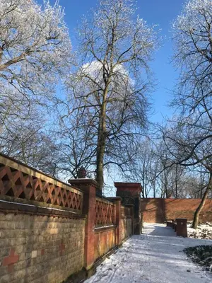 Ferienwohnung Kamrath im Winter