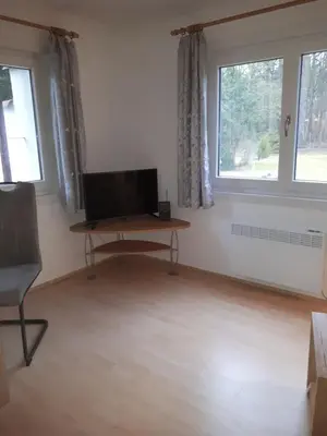 TV/Unterhaltungsangebot in der Unterkunft Ferienhaus am Langen See III