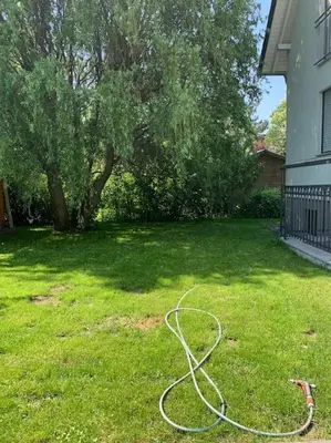 Ein Garten an der Unterkunft Fewo mit Garten, Kamin u. Whirlpool