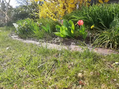 Ein Garten an der Unterkunft Gartenblick Trebbin