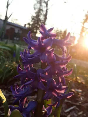 Ein Garten an der Unterkunft Gartenblick Trebbin