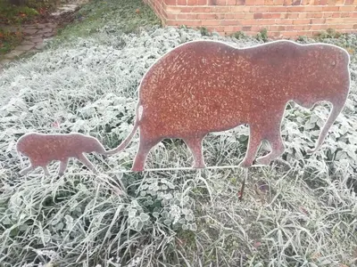 Tiere in der Ferienwohnung oder in der Nähe