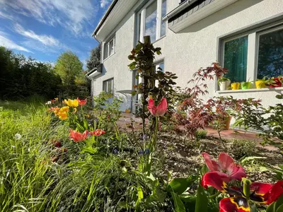 Ein Garten an der Unterkunft Villa Dada