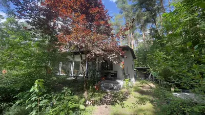Ein Garten an der Unterkunft NEUES Ferienhaus 