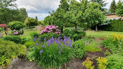 Ein Garten an der Unterkunft Ferienhof Sommergarten