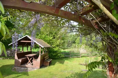 Ein Garten an der Unterkunft Ferienhof Sommergarten