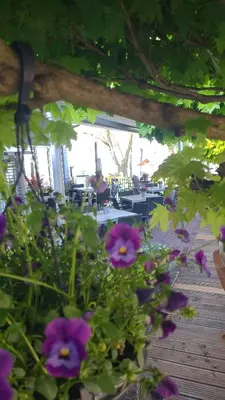 Ein Garten an der Unterkunft Pension Seeschlösschen