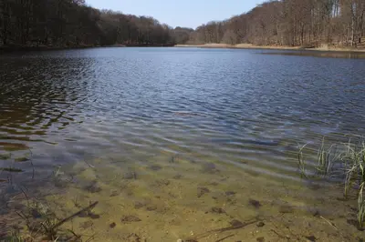 Naturlandschaft in der Nähe der Ferienwohnung