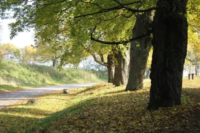 Naturlandschaft in der Nähe der Ferienwohnung