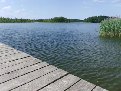 Naturlandschaft in der Nähe des Ferienhauses