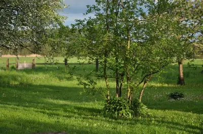 Ein Garten an der Unterkunft Villa Osterloff
