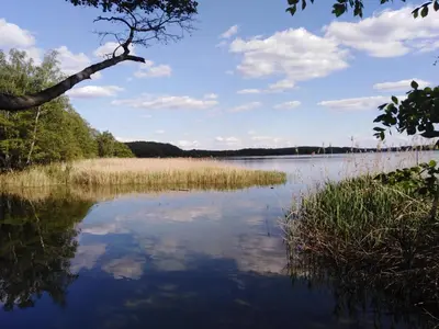 Naturlandschaft in der Nähe der Ferienwohnung