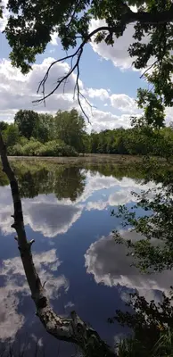 Naturlandschaft in der Nähe der Ferienwohnung