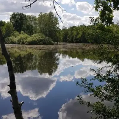 Schwalbennest