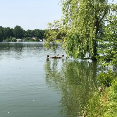 Blick auf einen Fluss in der Nähe der Ferienwohnung