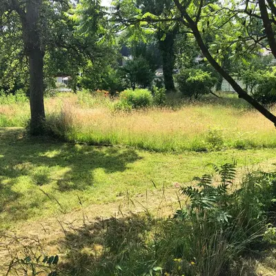 Ein Garten an der Unterkunft Ferienwohnung mit Wasserzugang