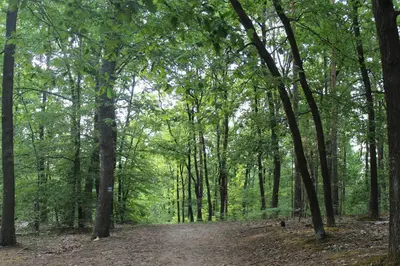 Naturlandschaft in der Nähe der Ferienwohnung