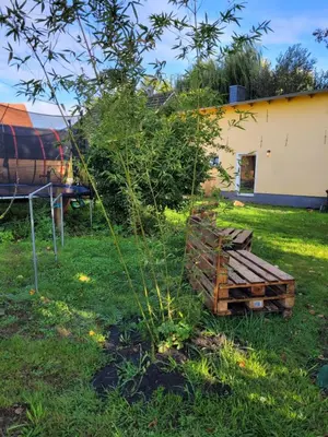 Ein Garten an der Unterkunft Haus Evelynchen Apartment 1 Deutschhof
