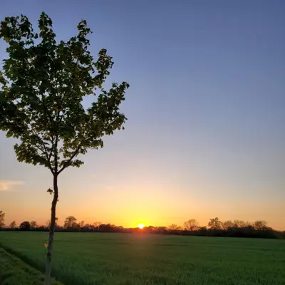 Blick auf den Sonnenuntergang/Sonnenaufgang von der Ferienwohnung aus oder aus der Nähe