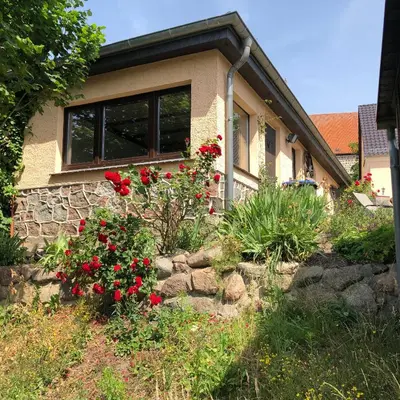Ein Garten an der Unterkunft Ferien direkt am Wasser