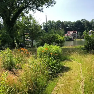 Ein Garten an der Unterkunft Ferien direkt am Wasser