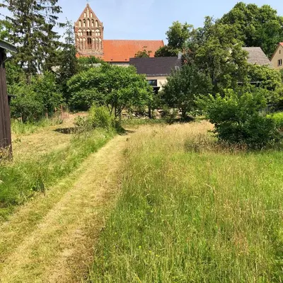 Ein Garten an der Unterkunft Ferien direkt am Wasser