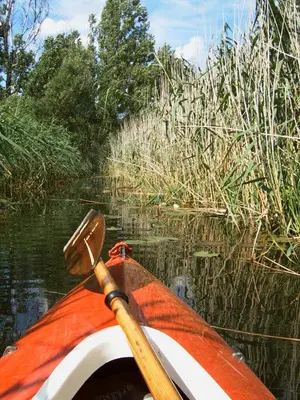 Naturlandschaft in der Nähe der Ferienwohnung