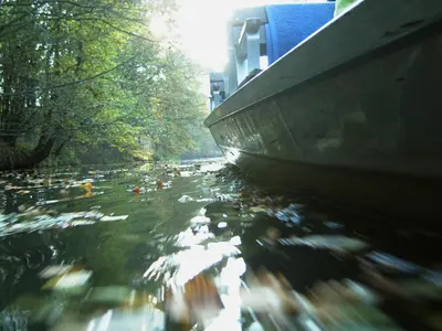 Naturlandschaft in der Nähe der Ferienwohnung