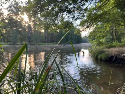 Naturlandschaft in der Nähe der Ferienwohnung