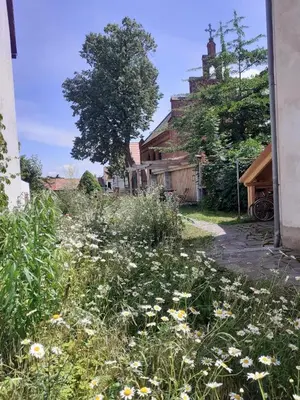 Ein Garten an der Unterkunft Ferienwohnung Martinsblick