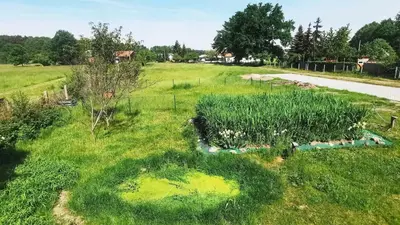 Ein Garten an der Unterkunft Spreewälder Schwalbenhof - Ferienhaus 
